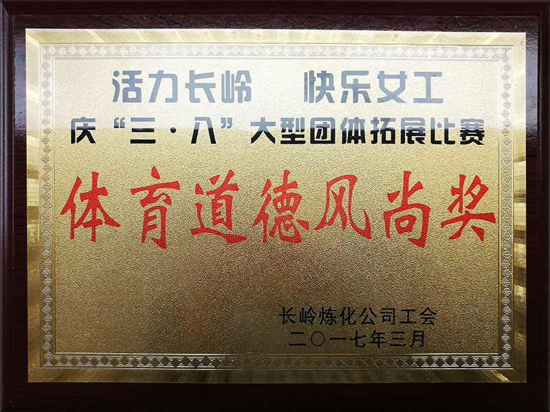 2017年道德风尚奖